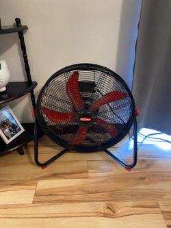Fan