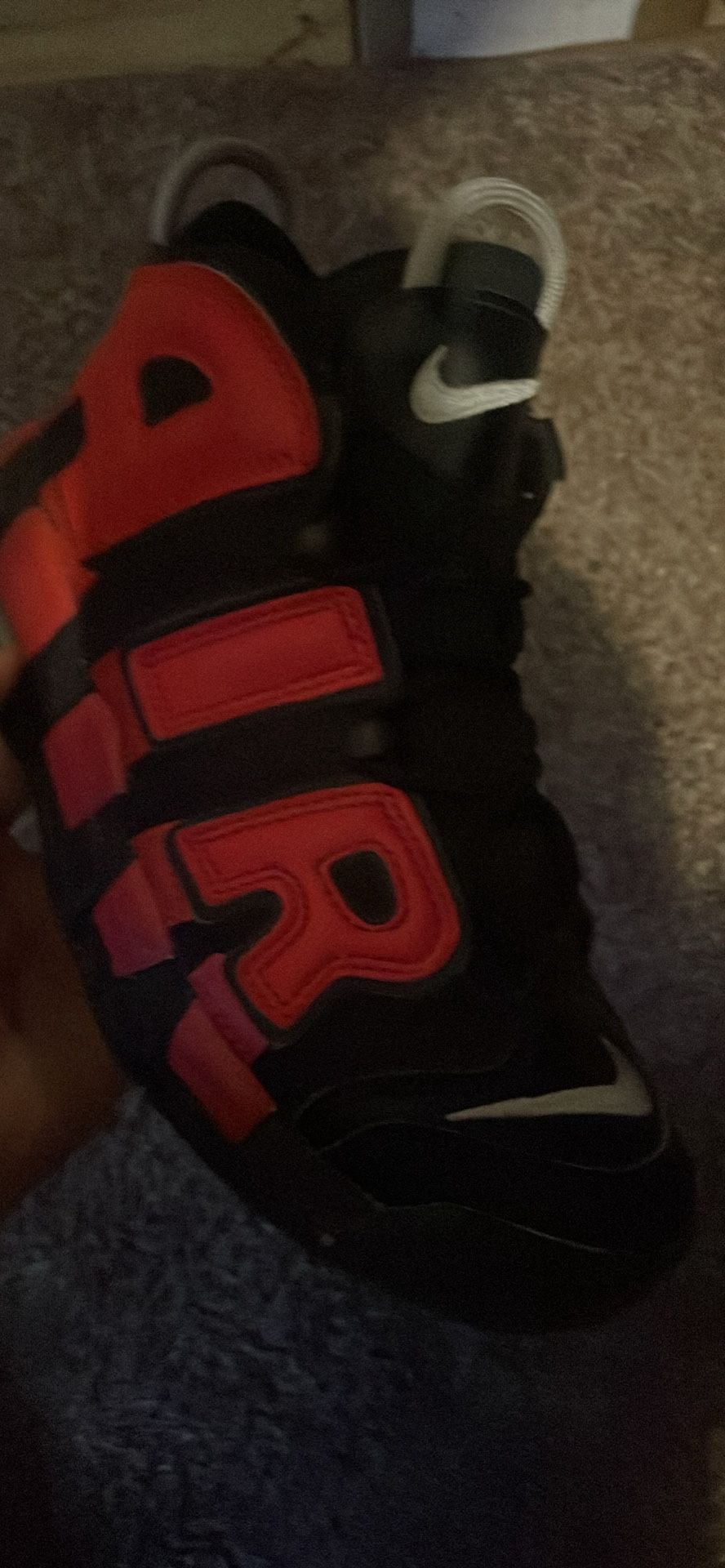 Scotty Pimpin Air Jordans