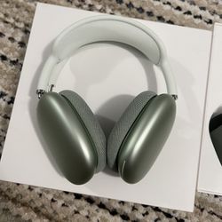 Apple Headphones 