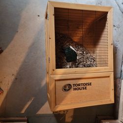 Turtle Home Or Orther Reptiles 