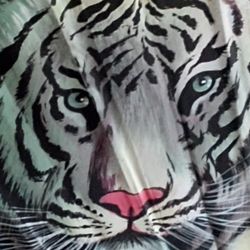 Painted Silk Fan 5ft.wide