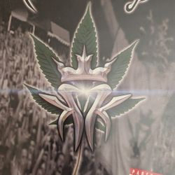 Kottonmouth Kings - Dopeumentary, Video Movie DVD (Mint) 2001. Go deep and uncensored into the Kottonmouth Kings underground subculture. This DVD cont