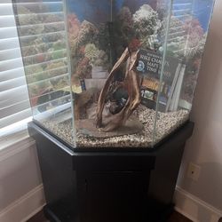 Fish Tank