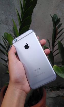 iPhone for any carrier