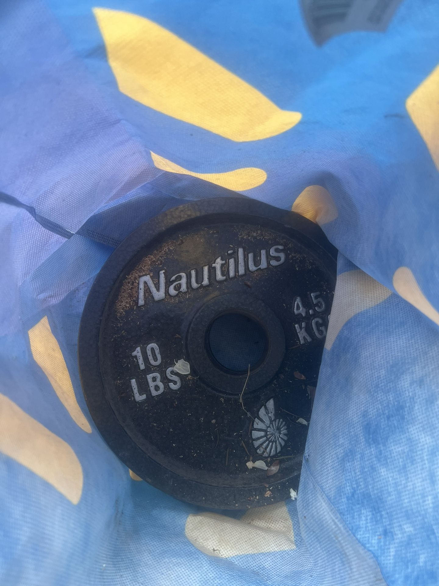 2 - 10lb Plates 