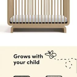 Storkcraft
Santorini Driftwood 5-in-1 Convertible Crib with Toddler Guardrail