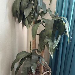 Artificial Plant