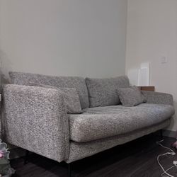 Couch/Love Seat