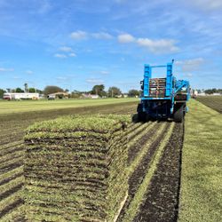 Fresh Sod Cut Daily.