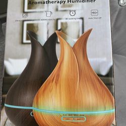 Aromatherapy Humidifier 
