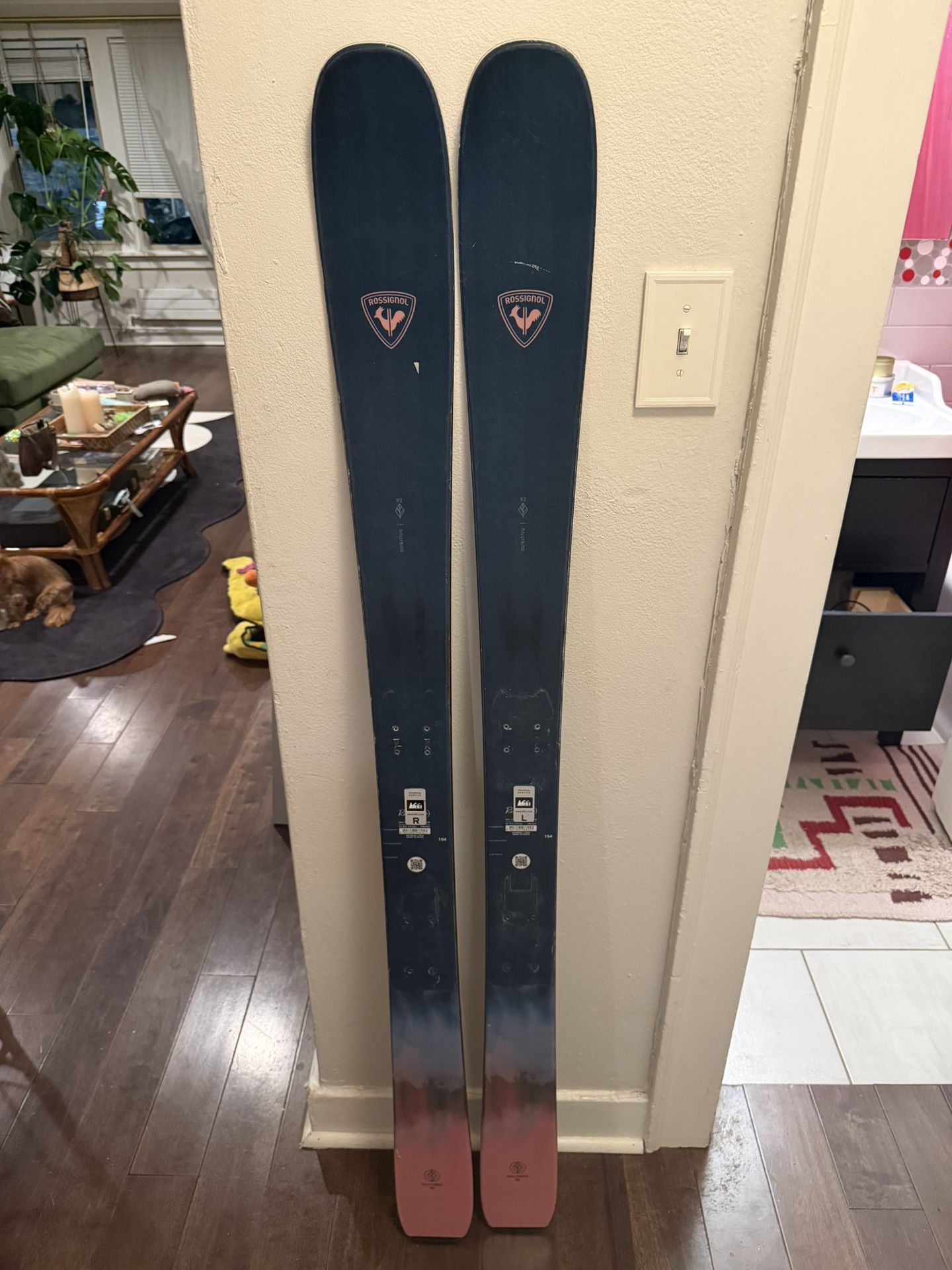All weather Skis 