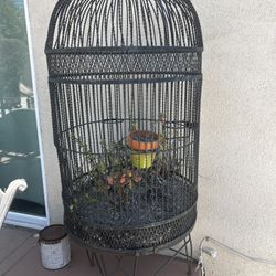 Big Wrought Iron Birdcage (Planter but Can Be Used For Birds)