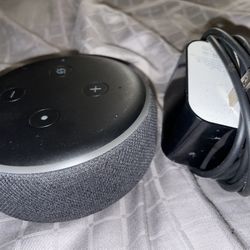 Echo