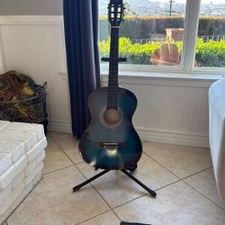 Best choice picks Guitar- Beginner