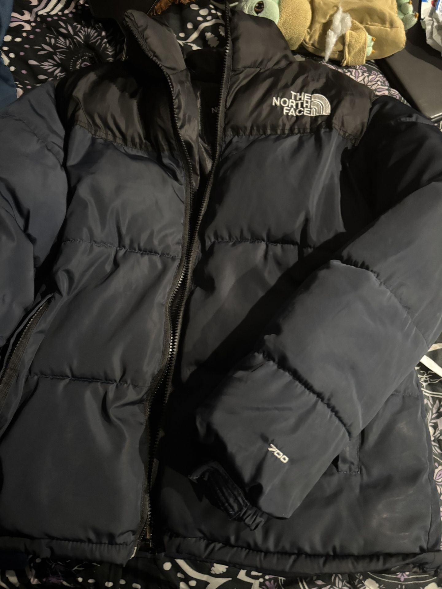 northface 700 cost