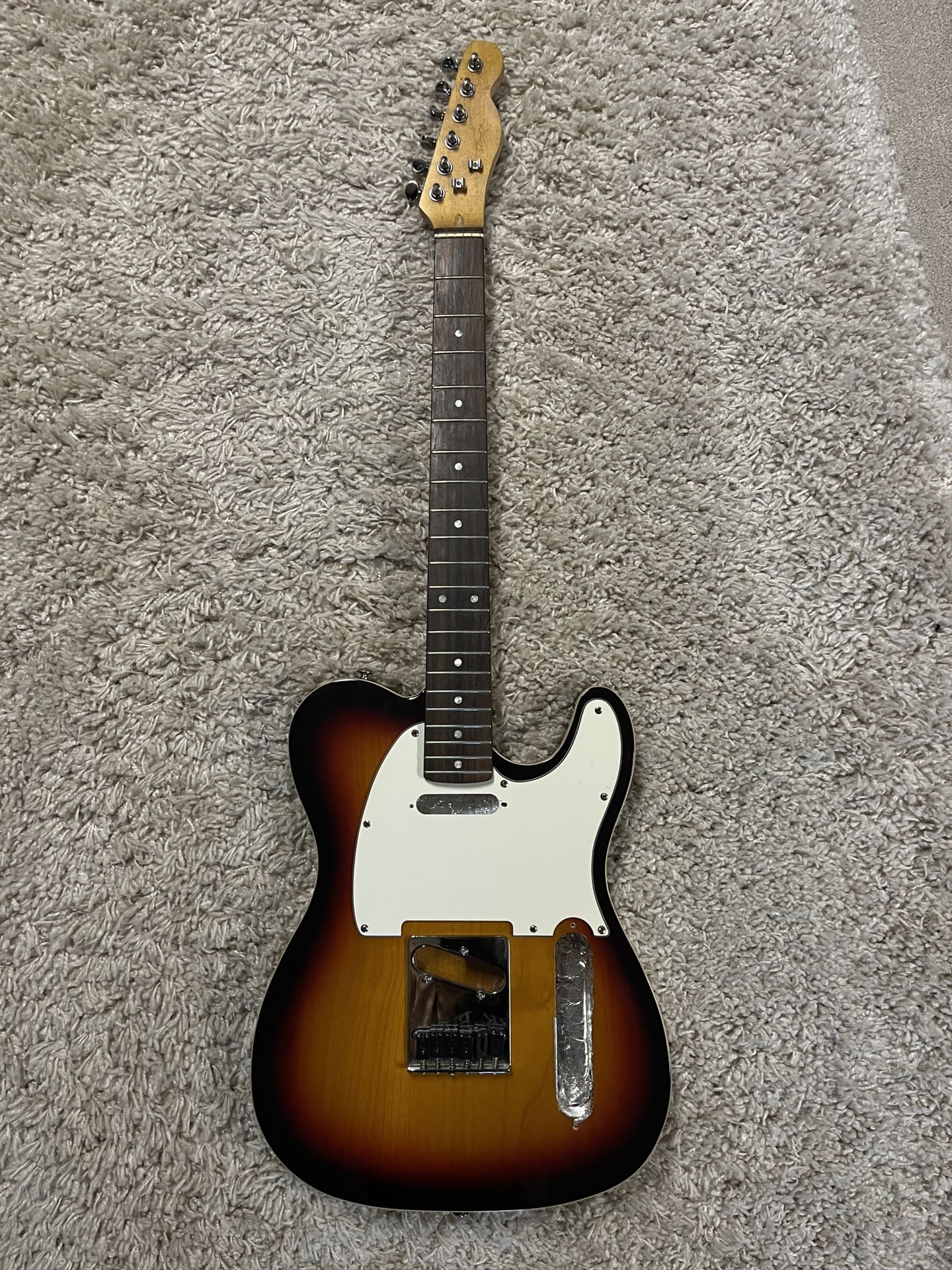 T Style Partcaster Project