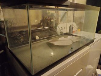 40gal glass aquarium