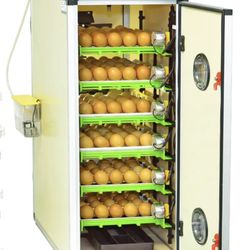 Use my incubator to hatch your eggs