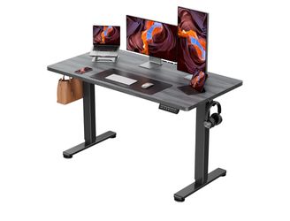 47 Height Adjustable Electric Standing Desk, 48 x 24 Inches Sit Stand up Desk, Memory Computer Home Office Desk, Grey
