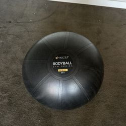 Exercise/Yoga Ball