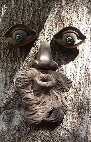 Tree Face