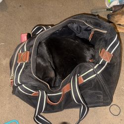 Dog/cat Carrier