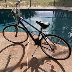 Giant Comfort Bike