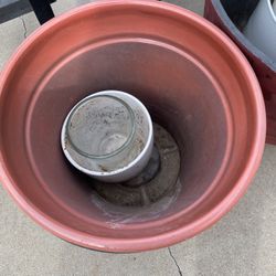 Plant Pots 
