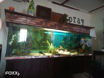 150 Gallon Fish Tank