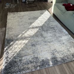 Soft Shag Rug 6x9