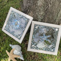 Set If Resin Pictures Starfish And Sand Dollar 