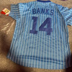 Cubs Banks Jersey