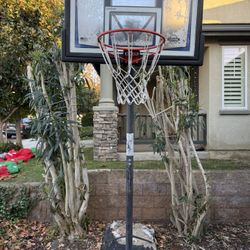 Free Basketball Hoop, Adjustable To Regulation Height