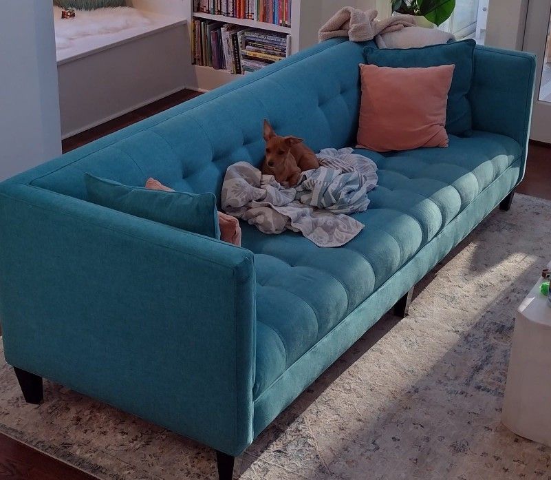Free Couch