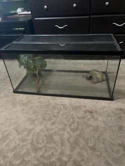Reptile Tank
