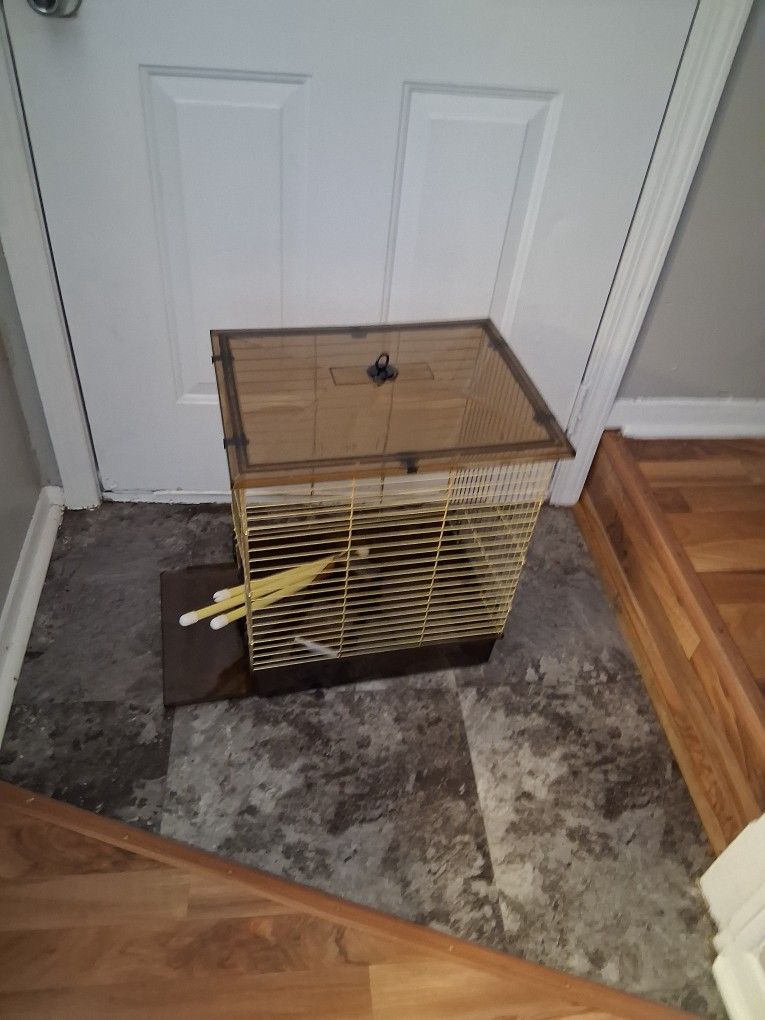Bird Cage