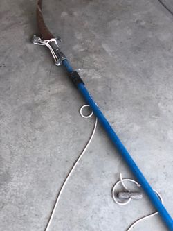 Palm tree cutter used
