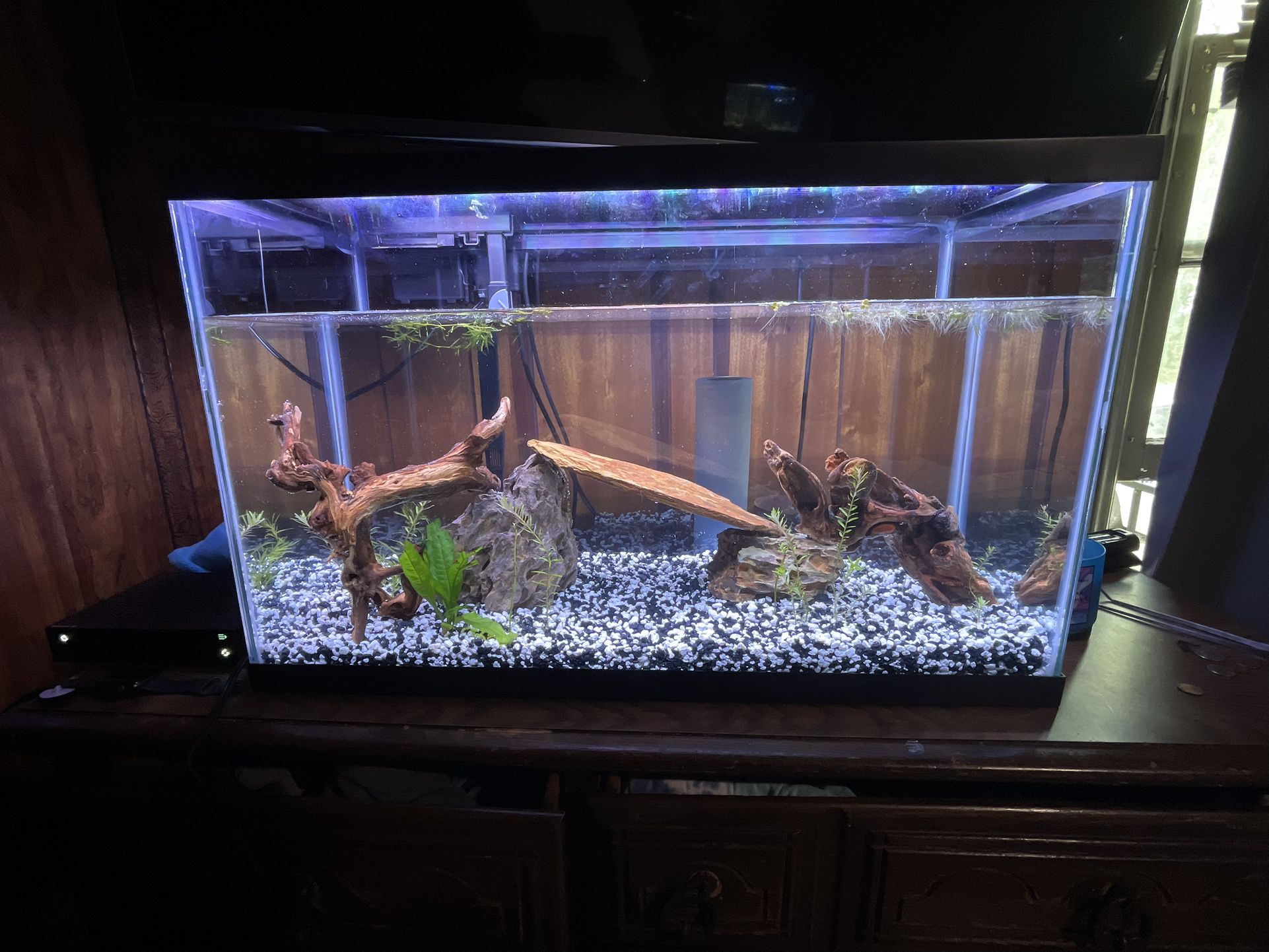 29 Gal Fish Tank