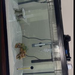 Entire Fish Tank Set Up 