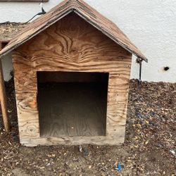 dog house 