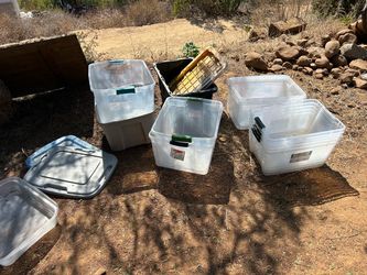 12 various bins