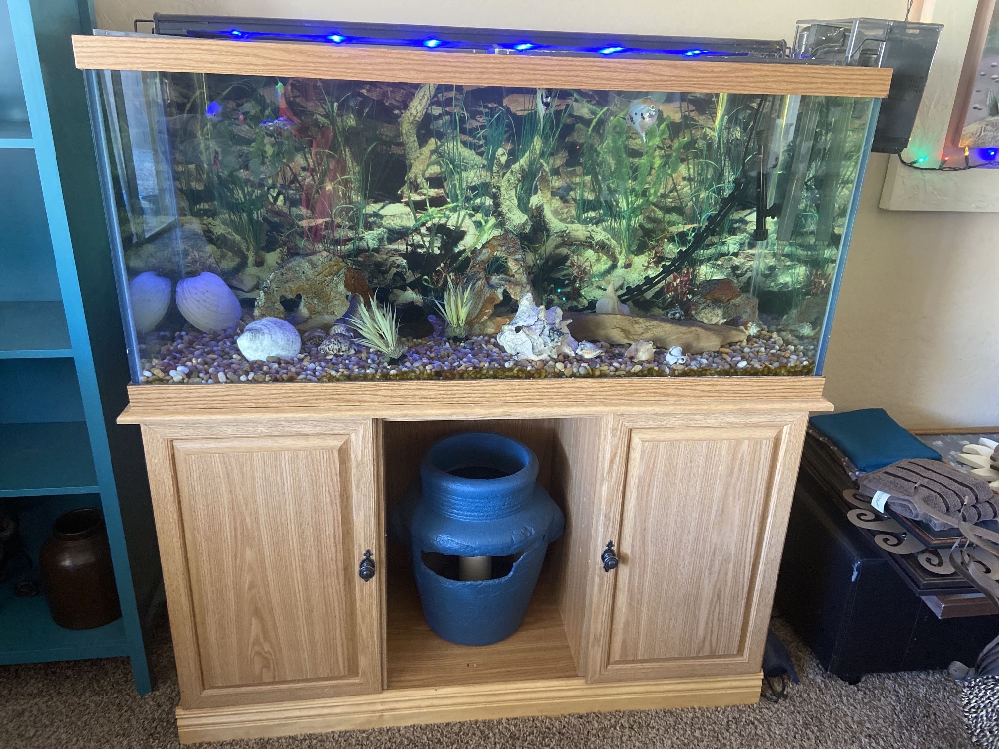 80 gallon fish tank