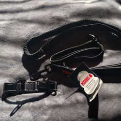 **PRICE DROP** NEW KONG  Dog Collar & Leash