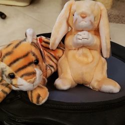 Beanie baby 2000 collection