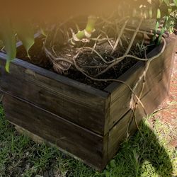 Large planter box 24 x 24 x 16” high