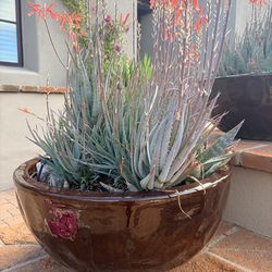 Glazed porcelain planters 24”x 11”