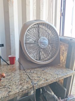 Fan