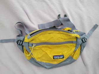Patagonia Fanny pack