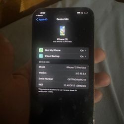 Iphone 12 Pro Max