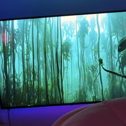 LG 4K UHD 55” Smart TV